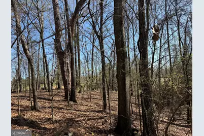 1972 Wood Valley Road, Macon, GA 31211 - Photo 3