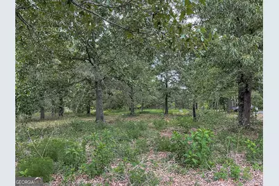 62 Brannon Montgomery Road, Mauk, GA 31058 - Photo 27