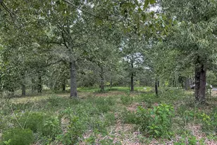 62 Brannon Montgomery Rd, Mauk, GA 31058 - Photo 27