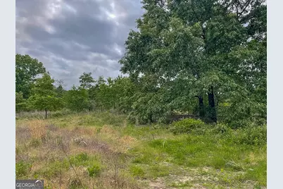 62 Brannon Montgomery Road, Mauk, GA 31058 - Photo 29