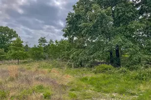 62 Brannon Montgomery Rd, Mauk, GA 31058 - Photo 29