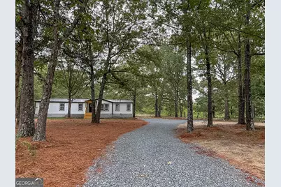 62 Brannon Montgomery Road, Mauk, GA 31058 - Photo 3