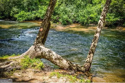 1082 Sunset Road, Epworth, GA 30541 - Photo 73