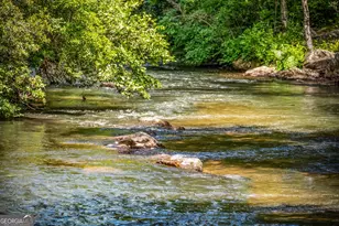 1082 Sunset Rd, Epworth, GA 30541 - Photo 69