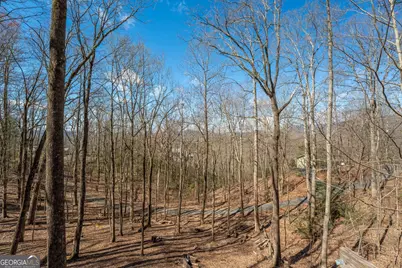 44 Juniper Trail, Clayton, GA 30525 - Photo 33