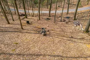 44 Juniper Trail, Clayton, GA 30525 - Photo 63