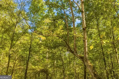 0 Abercrombie Road, Forsyth, GA 31029 - Photo 7