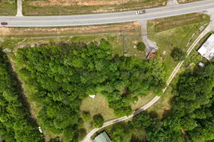 0 Hwy 115 E, Cleveland, GA 30528 - Photo 1