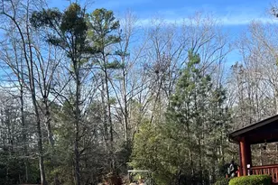 1032 White Owl Dr, Elberton, GA 30635 - Photo 33