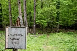 Lot 1125 Bunker Ln, Westminster, SC 29693 - Photo 41