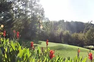 Lot 1125 Bunker Ln, Westminster, SC 29693 - Photo 37