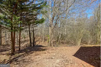 300 Autumn Creek, Senoia, GA 30276 - Photo 45