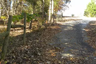 2484 Apple Pie Ridge Rd, Alto, GA 30510 - Photo 101