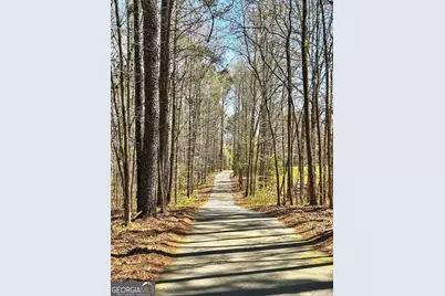 720 Lester Mill Road, Locust Grove, GA 30248 - Photo 73