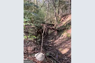 106 Fernbanks Court, Athens, GA 30605 - Photo 29