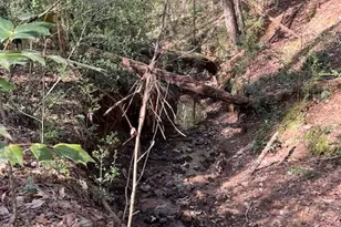 106 Fernbanks Ct, Athens, GA 30605 - Photo 29