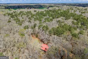 336 Means Rd, Barnesville, GA 30204 - Photo 59