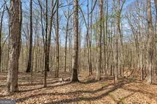 375 Woodcreek Ln, Fayetteville, GA 30215 - Photo 71