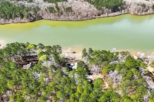 280 Waters Edge Ln, Newnan, GA 30263 - Photo 63