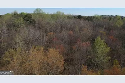 0 Cobb Road, Covington, GA 30014 - Photo 7