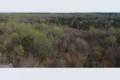 0 Cobb Road, Covington, GA 30014 - Photo 5