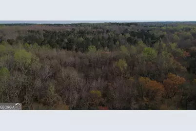 0 Cobb Road, Covington, GA 30014 - Photo 13