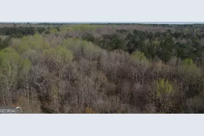 0 Cobb Road, Covington, GA 30014 - Photo 19