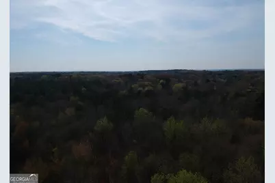 0 Cobb Road, Covington, GA 30014 - Photo 9