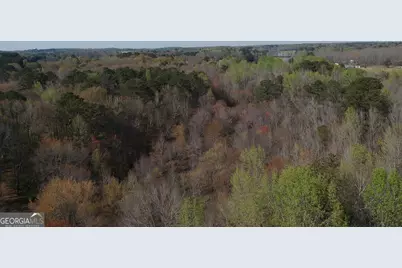 0 Cobb Road, Covington, GA 30014 - Photo 17