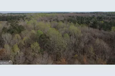 0 Cobb Road, Covington, GA 30014 - Photo 11