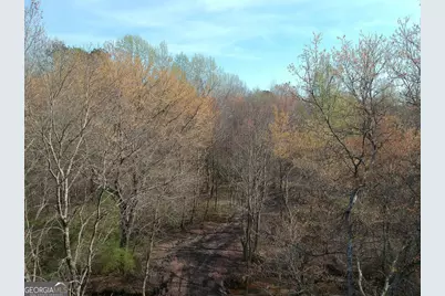 0 Cobb Road, Covington, GA 30014 - Photo 3