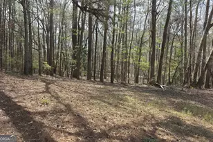 1166 B St, Pine Mountain, GA 31823 - Photo 57