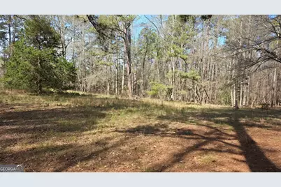 1166 B Street, Pine Mountain, GA 31823 - Photo 63