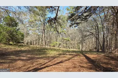 1166 B Street, Pine Mountain, GA 31823 - Photo 47