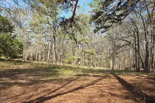 1166 B St, Pine Mountain, GA 31823 - Photo 69