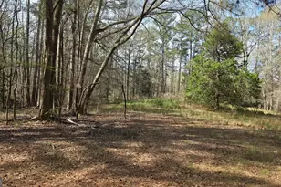 1166 B St, Pine Mountain, GA 31823 - Photo 61