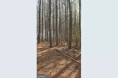 1166 B Street, Pine Mountain, GA 31823 - Photo 55