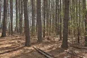 1166 B St, Pine Mountain, GA 31823 - Photo 55