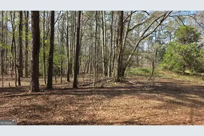 1166 B Street, Pine Mountain, GA 31823 - Photo 49