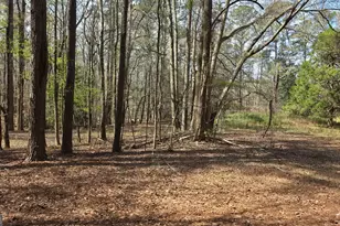 1166 B St, Pine Mountain, GA 31823 - Photo 49
