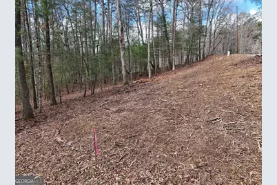 Lot 44A Synacia Drive, Mineral Bluff, GA 30559 - Photo 7