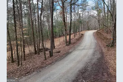 Lot 44A Synacia Drive, Mineral Bluff, GA 30559 - Photo 3