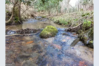 Lot 44A Synacia Drive, Mineral Bluff, GA 30559 - Photo 1