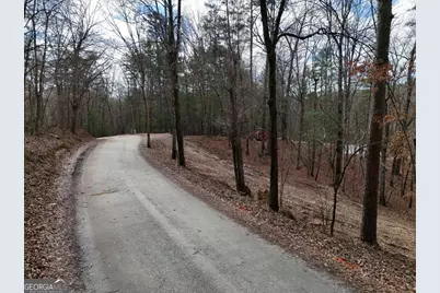 Lot 44A Synacia Drive, Mineral Bluff, GA 30559 - Photo 21
