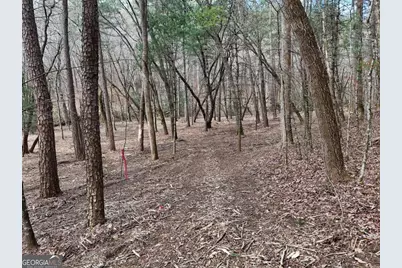 Lot 44A Synacia Drive, Mineral Bluff, GA 30559 - Photo 25