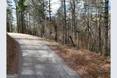 Lot 44A Synacia Drive, Mineral Bluff, GA 30559 - Photo 13