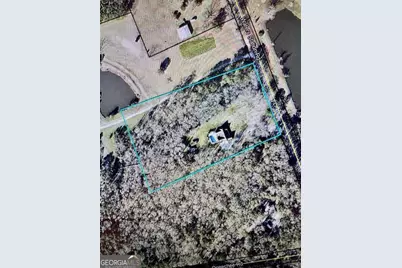 241 Waters Station Road, Sylvania, GA 30467 - Photo 49