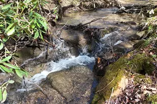 Lot 44B Synacia Dr, Mineral Bluff, GA 30559 - Photo 1