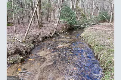 Lot 44B Synacia Drive, Mineral Bluff, GA 30559 - Photo 9