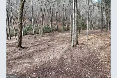 Lot 44B Synacia Drive, Mineral Bluff, GA 30559 - Photo 25